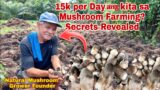 Founder ng Natural Mushroom Farming Kumikita ng malaki sa Mushroom