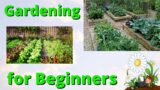Garden Layout for beginners article by Kelly Spicer
