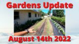 Garden Update August 14th 2022