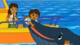 Go, Diego, Go!  – 2×02 – Baby Humpback to the Rescue [Best Moment Plus ]