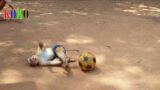 Good Boy Precious Monkey Koko | Koko Activity Fun Play Football
