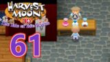 Harvest Moon: Tale of Two Towns 3DS – Episode 61: Summer's Warmth Returns