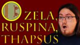 History Student Reacts to Zela, Ruspina, & Thapsus by Historia Civilis