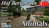 Hof Bergmann – Animal Testing – Farming Simulator 22