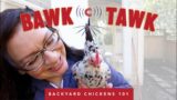 Horribly Hormonal Hens (Broody Nightmares) | Bawk Tawk Podcast