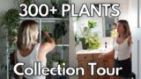 Houseplant Tour | My Entire Indoor Plant Collection Tour (: How I Decorate with Plants