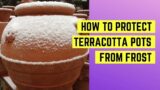 How to protect terracotta pots from frost