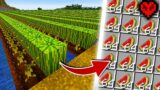 I Built the Biggest Melon Farm in Hardcore Minecraft!