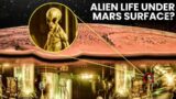 James Webb Telescope Terrifying Discovery Of Alien Life On Mars #alien #mars #space #surface #jwst