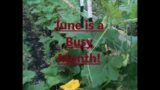 June In Your Garden