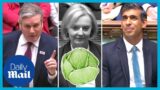 Keir Starmer says Liz Truss lost to a lettuce. Here's how Rishi Sunak responds