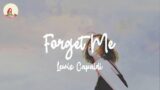 Lewis Capaldi – Forget Me (lyric video)