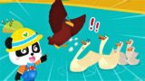 Little Panda's Bird Kingdom – Help The Baby Eagle Pass Its First Flight – Babybus Game Video