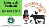 Livestock Wala'au Podcast: Season 2 Ep2 FSA in Hawaii