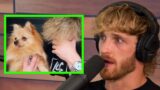 Logan Paul Reflects On Kong's Tragic Death By Coyote
