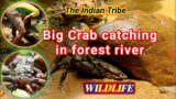 MONSTER CRABS HUNTING | Cooking Spicy Crabs / River Monsters Big crabs / Survival In The Rain forest