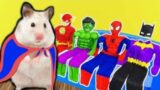 Maze.Hamster Sally – Superhero!!! Sally to the rescue!!!