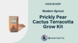 Modern Sprout Prickly Pear Cactus Terracotta Grow Kit Review