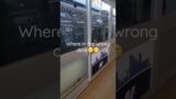 Monorail Transit #shorts #shortvideo #travel #monorail