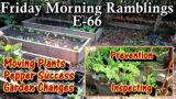 Moving Plants & Changes, Prevention Care for Fall Crops, Peppers & Tour: FM Gardening Ramblings E-66