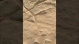 NASA's Mars Perseverance Rover acquired this image on Sol 572 #shorts