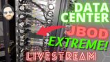 NetApp DE6600 Homelab Datacenter JBOD Extreme – Dell SAS Controllers to the rescue??