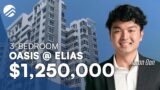 Oasis @ Elias – Spacious 3-Bedroom Home Tour in District 18 | $1,250,000 | Aaron Oon