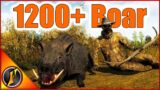 Our Biggest Wild Boar EVER in theHunter Classic! | 1200+ Score!!