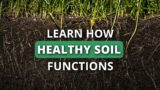 Rapidly Rebuild Your Soil Health Part 1: How Healthy Soil Works