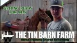 Rescue Horse Transformations | Horse Training