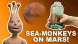 Sea-Monkeys On Mars | Unboxing & Review!