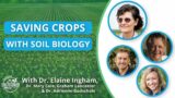 Soil Biology for Crop Nutrition and Reduced Pathogen Outbreaks | Soil Food Web School