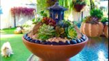 Succulent Arrangement in Terracotta Bowl