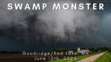 Swamp Monster | Goodridge/Red Lake, MN | June 12th, 2022