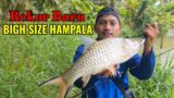 TAK DI DUGA..! KEGANASAN MONSTER HAMPALA MEMBUAT PEMANCING KEWALAHAN