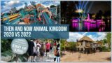THEN AND NOW: Animal Kingdom July 2020 / 2022 | Why I kept away from Flight of Passage