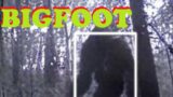 Terrifying #BIGFOOT Encounter – #Sasquatch Sighting – #Cryptid