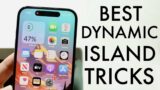 The Best iPhone Dynamic Island Tricks/Tips!