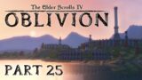 The Elder Scrolls IV: Oblivion – Part 25 – Enchanted To Meet You