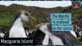 The Geologic Oddity in Australia where the Mantle is Exposed; Macquarie Island