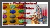 The Prophecies of the Twelve Tribes of Israel. "The Stones".  P8