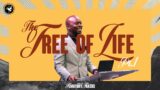 The Tree of Life Pt.1 | Pastor Emmanuel Adewusi | CCCG