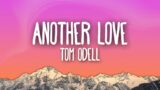Tom Odell – Another Love (Lyrics)