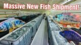 Tons Of New Fish available from our latest shipment! October 21 2022