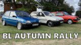 Twin-Cam Visits… British Leyland Autumn Rally @ Milton Keynes Museum