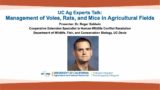 UC Ag Experts Talk: Management of Voles, Rats, and Mice in Agricultural Fields