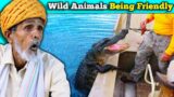 Villagers React To DANGEROUS Animals CAUGHT Being Friendly ! Tribal People React