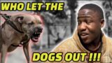 WHO LET THE DOGS OUT – THE TriBE UG