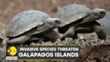 WION Climate Tracker: Invasive species threaten Galapagos islands | Latest English News