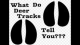 What do Deer Tracks Tell You ???